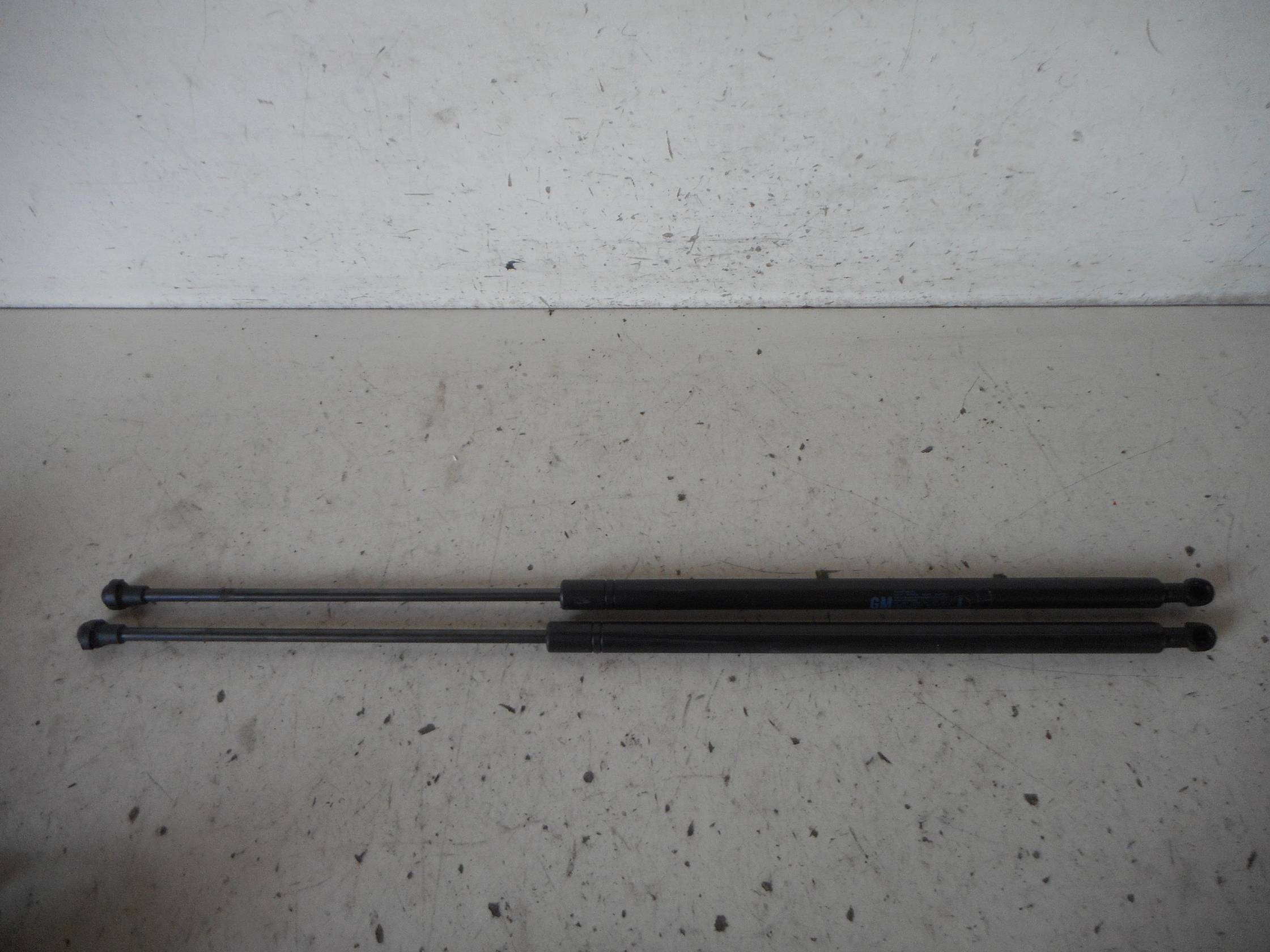 Asta ammortizzante portello post. sx.